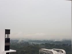 Eco Sanctuary (D23), Condominium #148569632